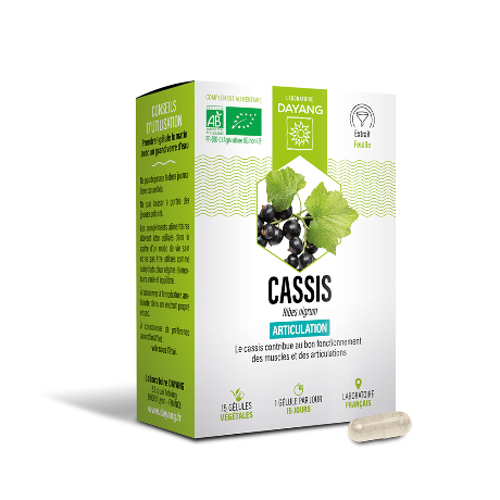 DAYANG Cassis Bio Gél B/15
