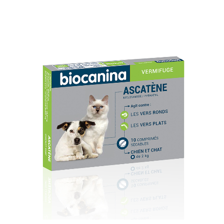 ASCATENE Cpr B/10