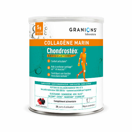 CHONDROSTEO COLLAGENE Pdr Pot/280g