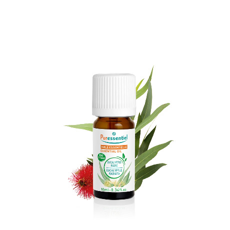 PURESSENTIEL EXP Hle ess bio Eucalypt ra 10ml