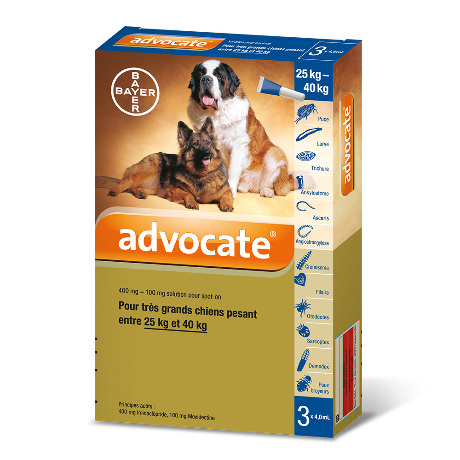 ADVOCATE SPOT-ON S ext chien plus de 25kg 3Pip/4ml