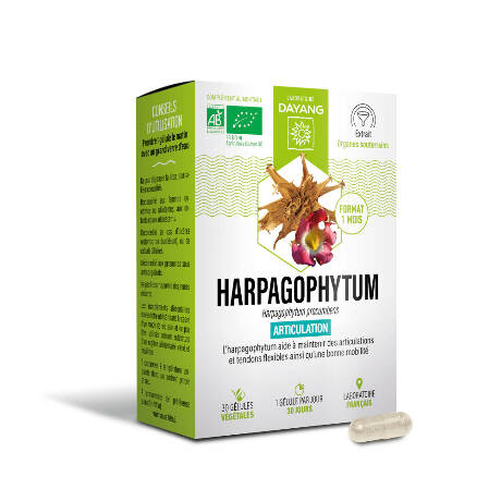 DAYANG PHYTOTHERAPIE Harpagophytum Bio Gél B/30