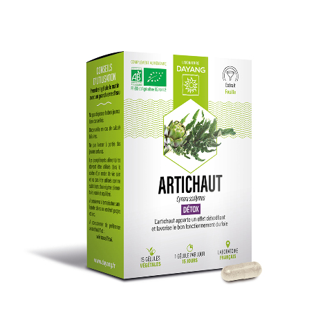 DAYANG Artichaut Bio Gél B/15