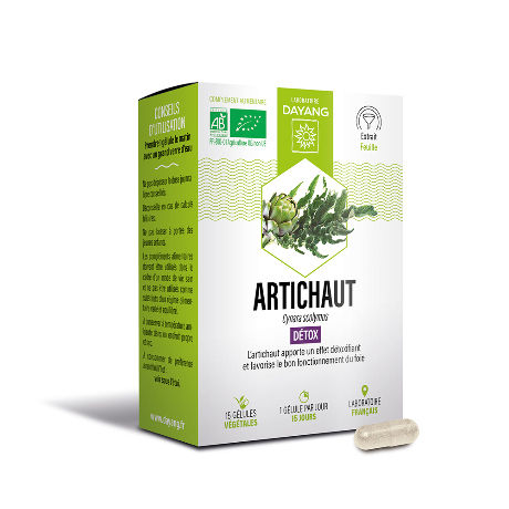 DAYANG Artichaut Bio Gél B/15