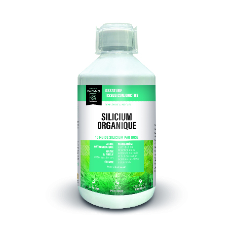 DAYANG Silicium organique S buv Fl/500ml