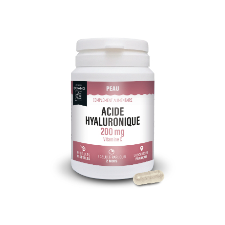 DAYANG Acide hyaluronique Gél B/60