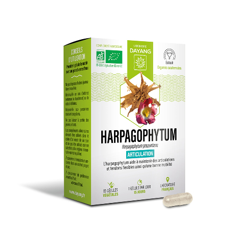 DAYANG Harpagophytum Bio Gél B/15