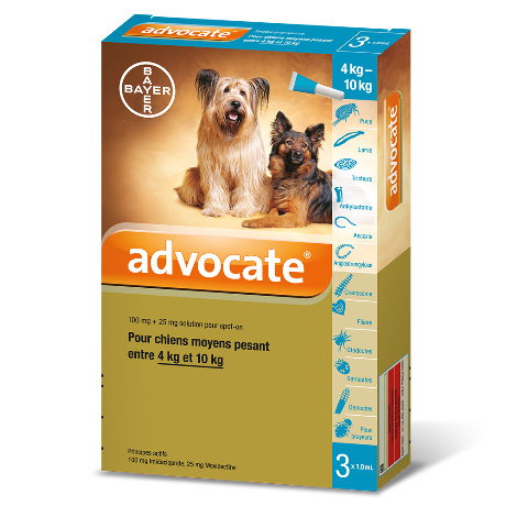 ADVOCATE Solution pour spot-on chien moyen >4-10kg 3Pip/1ml