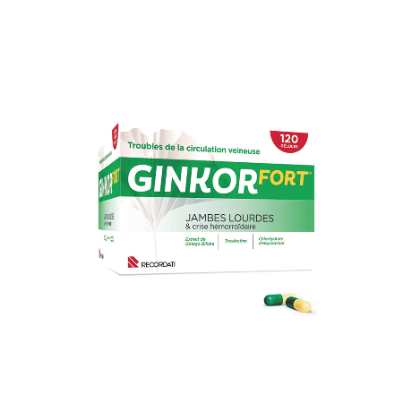 GINKOR FORT Gél Plq/120
