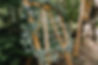 311465320_599056528659577_1127472894147243963_n.jpeg