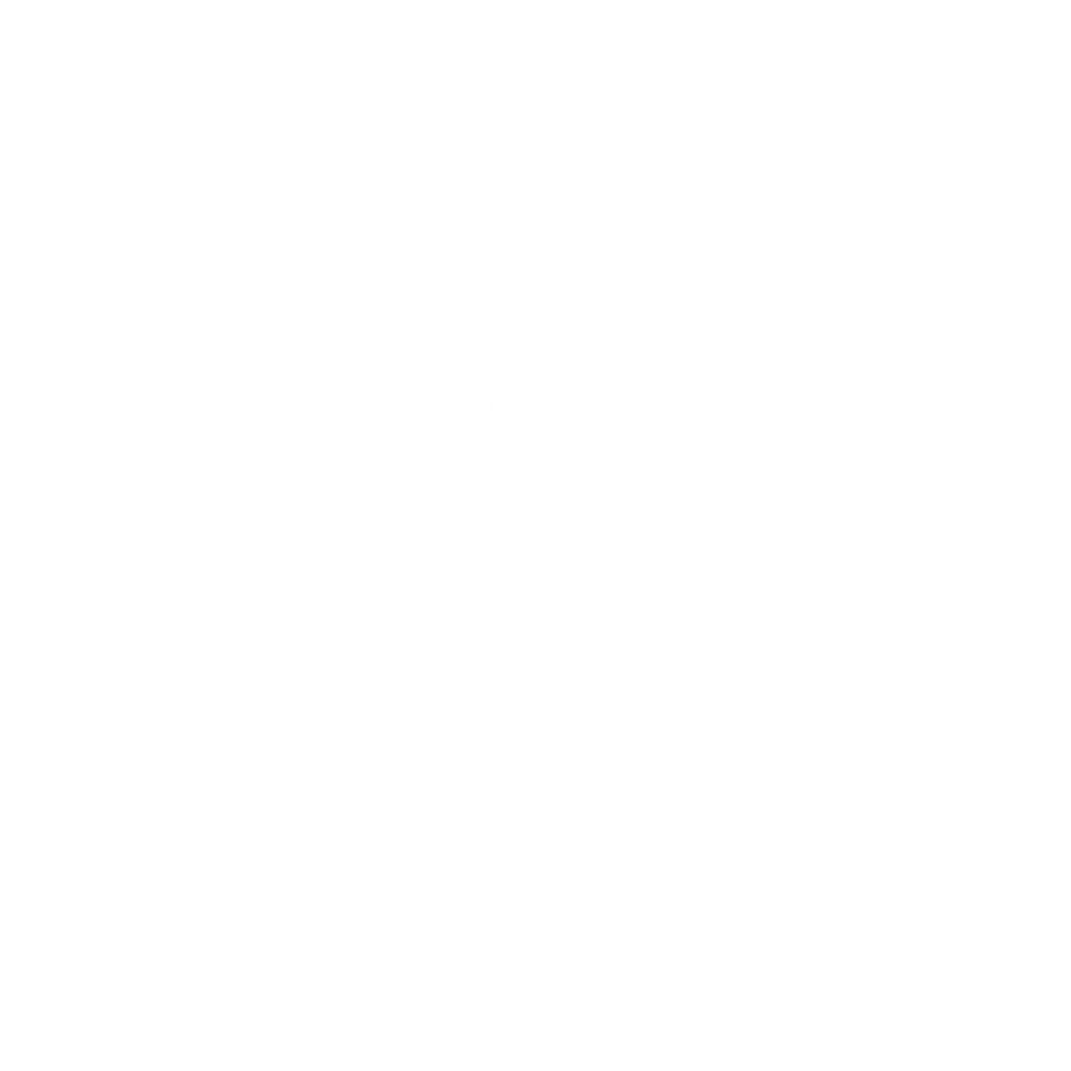 BigOcean FISH