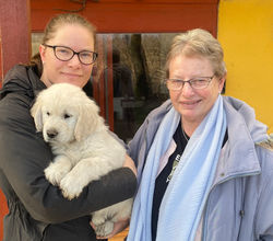 NEWLUCK CARMEN & BONUS 2022 (M-KULD)