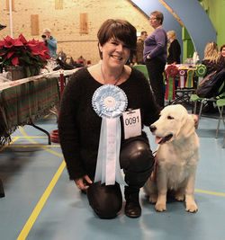 NEWLUCK Ocean Amber | FILHA