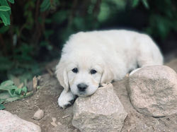 210102188_10224239627034807_5317565902308114049_n