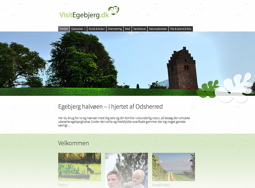 FICH&CO webdesign hjemmesider
