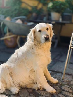 193934468_10224026737152693_8575931890104146497_n