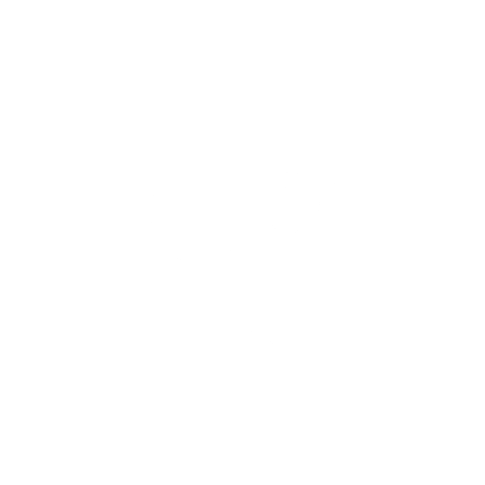 BigOcean WHALE