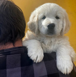 NEWLUCK CARMEN & BONUS 2022 (M-KULD)