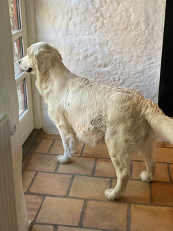 NEWLUCK CARMEN by Bizet_6700