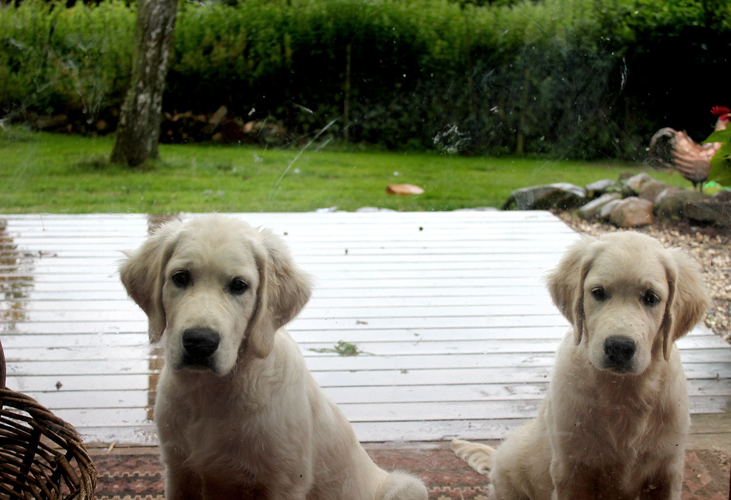 CATO&TOSCA