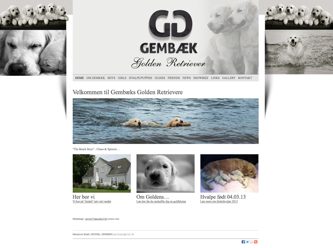 FICH&CO webdesign hjemmesider