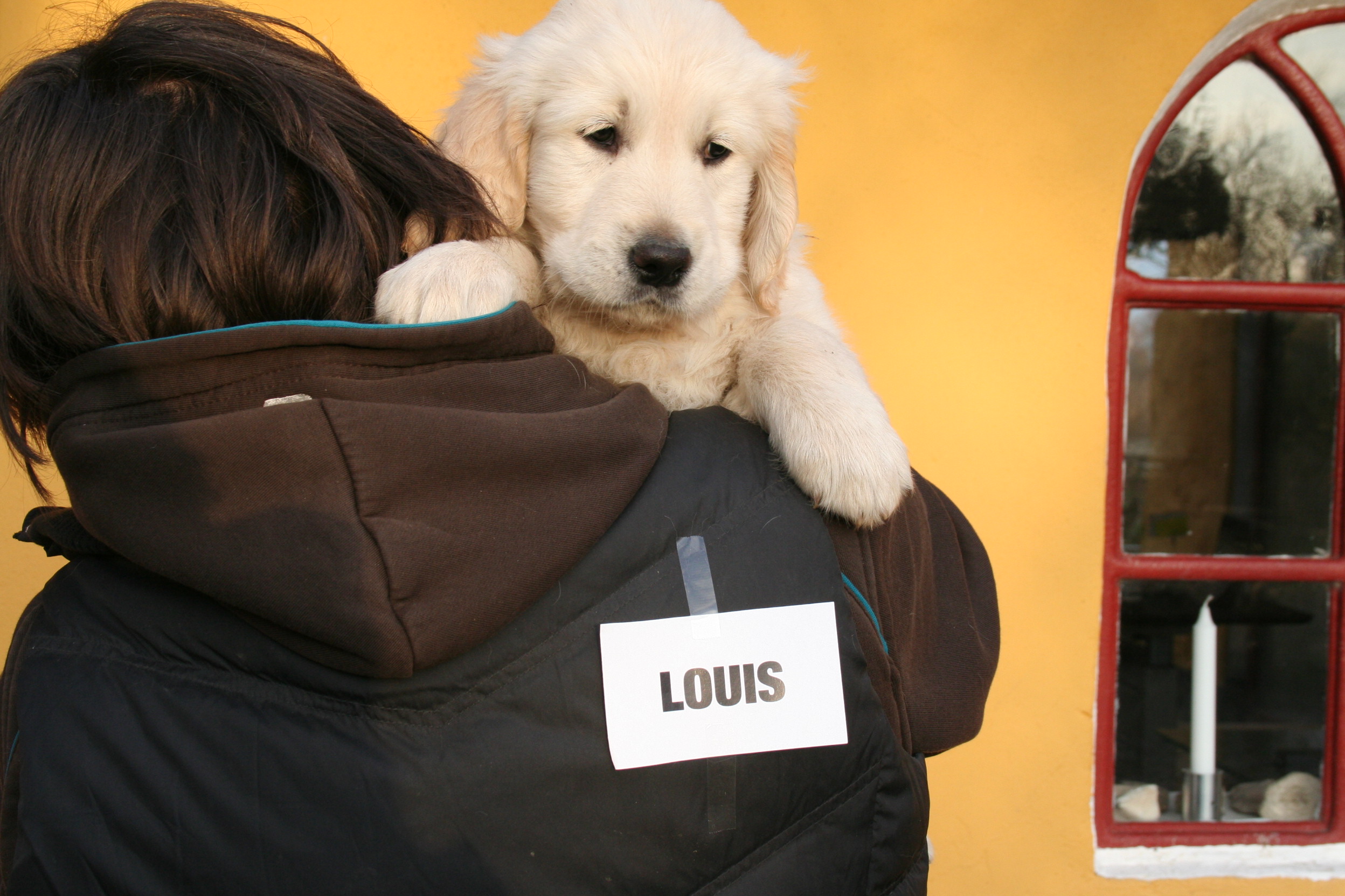LOUIS