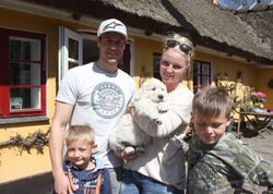 NEWLUCK Golden Retriever hvalpe