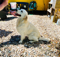 NEWLUCK All Inclusive