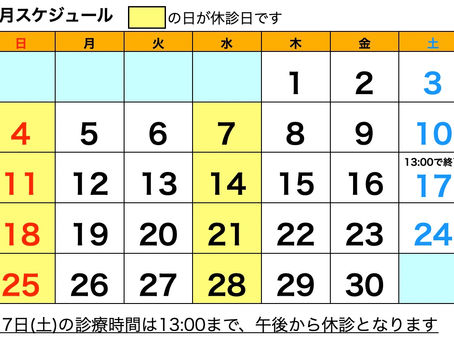 ６月の診療予定