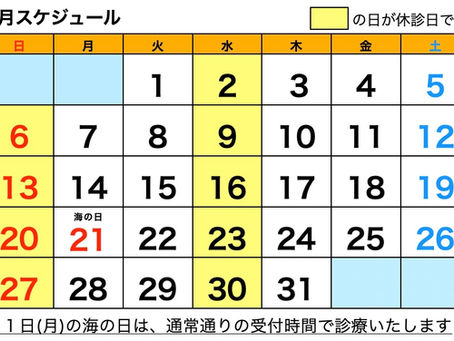 １１月の診療予定