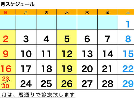 ６月の診療予定