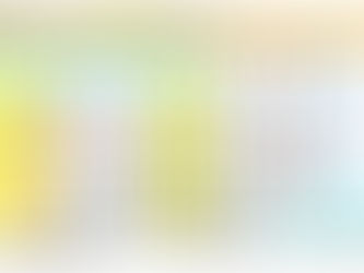 ２月の診療予定