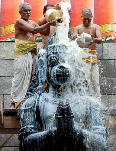 Hanuman Abishekam (Sunday mornings)