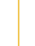 gold line.png