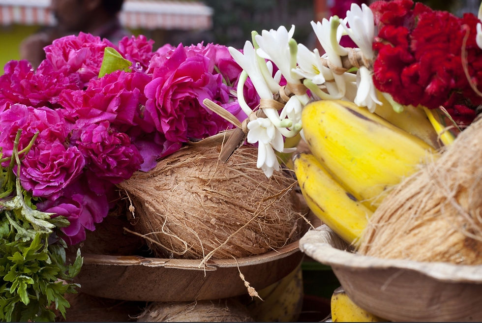 Fruits & Flowers