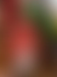 Little Debbie Christmas Tree Cakes Coffee Creamer