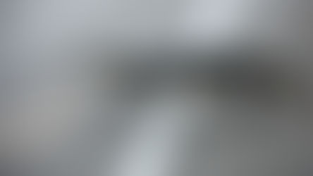 Florida: An American Oasis