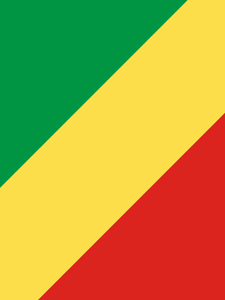Elections in the Republic of Congo 2026