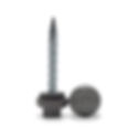 #10 ProZ Wood Screw