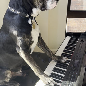 Rico Plays The Piano??