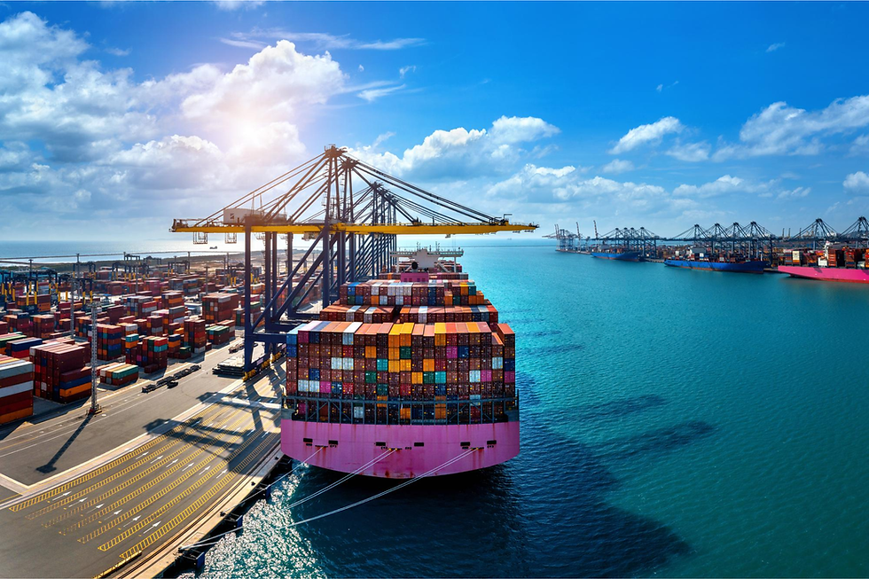 I Almost Lost My Entire Shipment — Then I Discovered WPC License Online