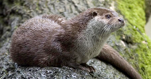 Screenshot 2024-06-07 at 12.16.20.png