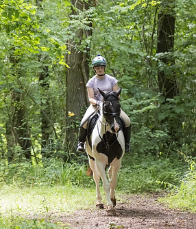 Screenshot 2024-06-10 at 21.09.31.png