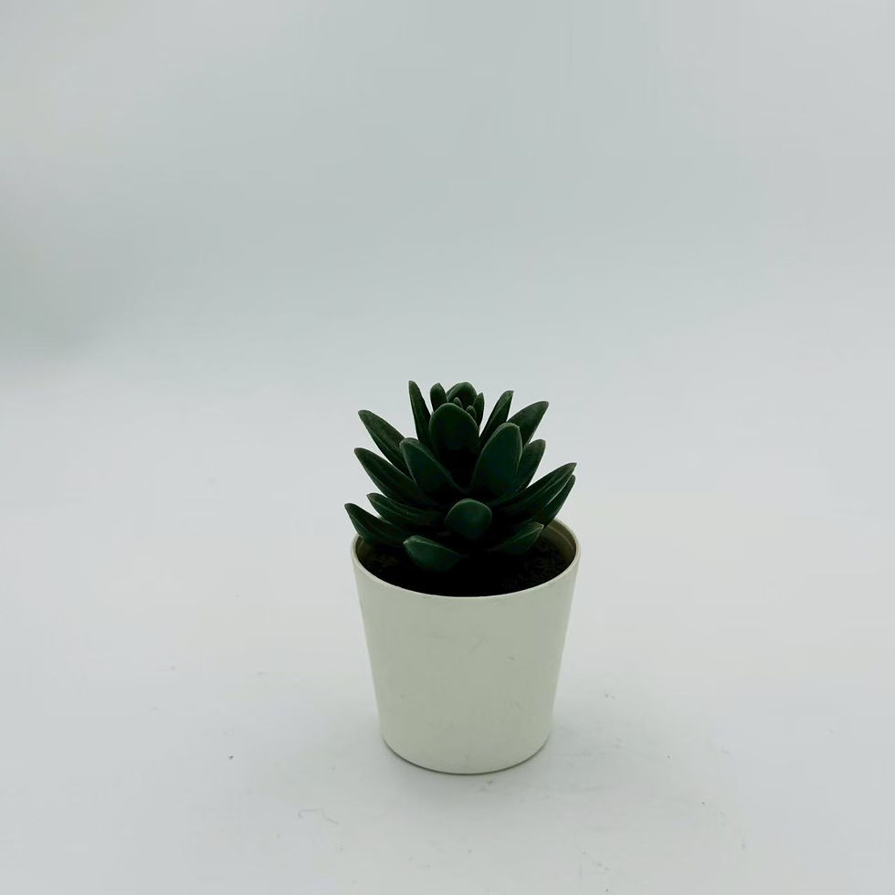 縮圖：假植物小盆栽（Ａ）