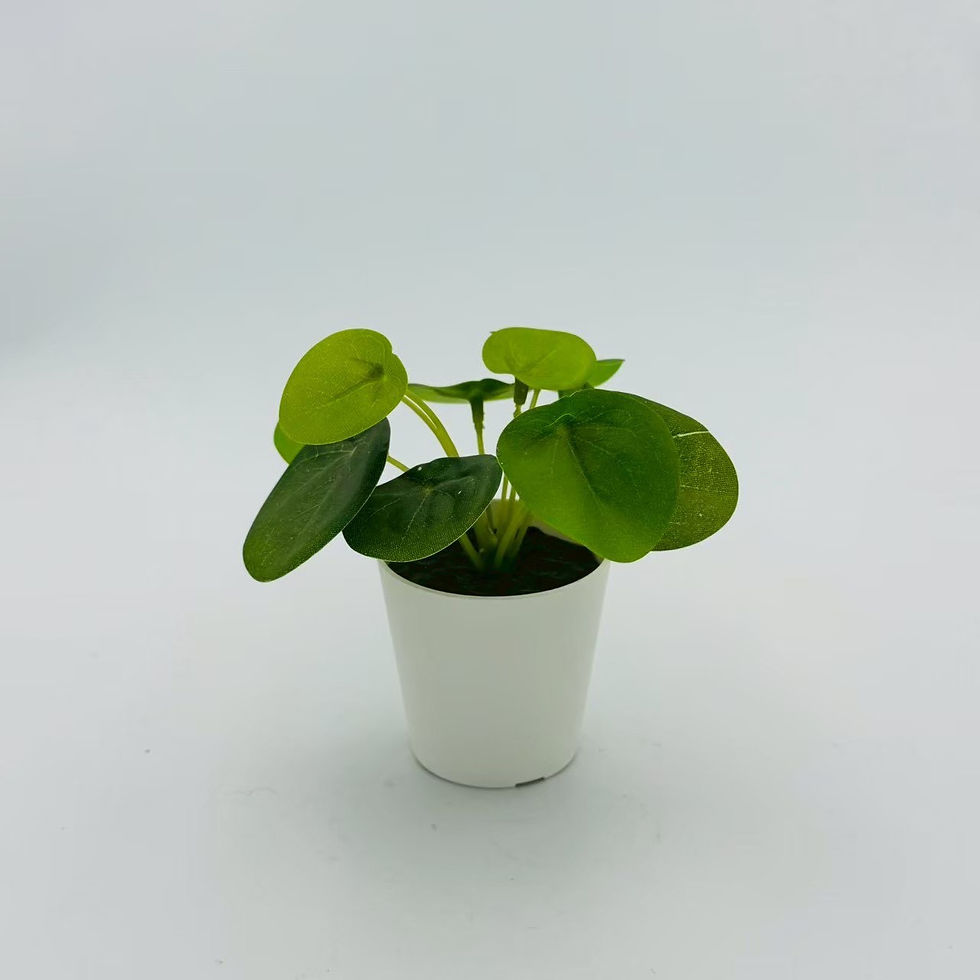 縮圖：假植物小盆栽（Ａ）