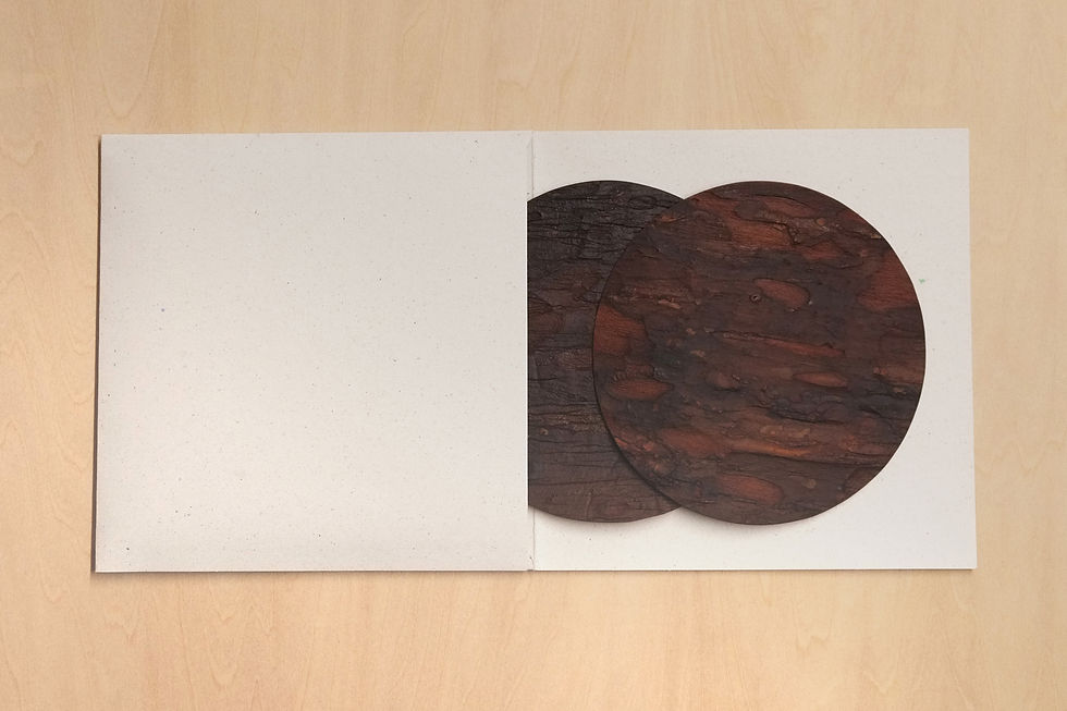 Thumbnail: PineSkins Coasters (Set of 2 or 4)