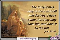 Words Of Jesus With Dr.Diana Brevan 06-18-2024