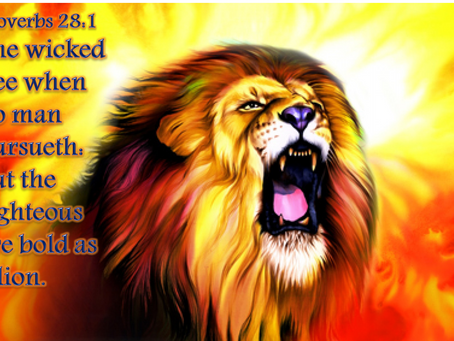 Pearls Of Wisdom Bible Reading With Dr.Diana Brevan 06-27-2024