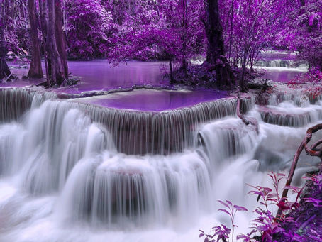 Good Morning Devotional with Dr Diana Brevan 12-30-17
Jesus is Lord Fellowship WWI
Where we make a d