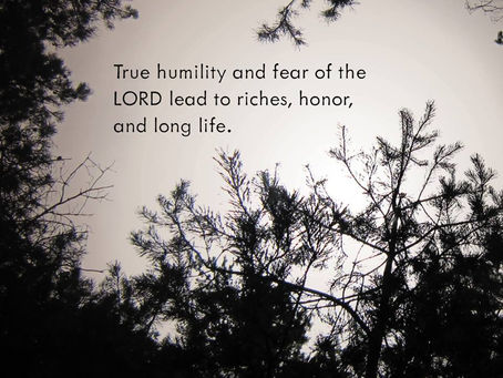 Pearls of Wisdom-Proverbs 10-22-17